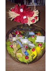 Terrarium Elma