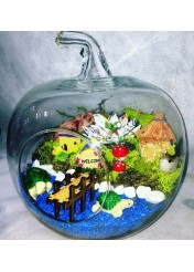 Terrarium Elma