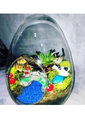 Terrarium Yumurta Yeni