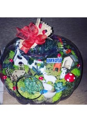 Terrarium Kabak