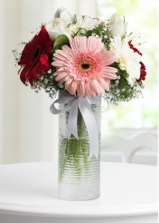 Vazoda Gerbera